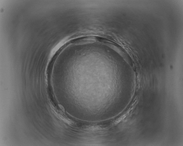 X0000061750246200512050915