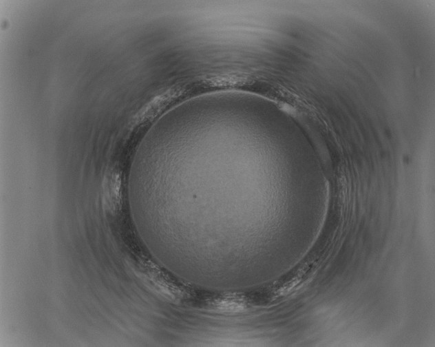 X0000061750308200512050915