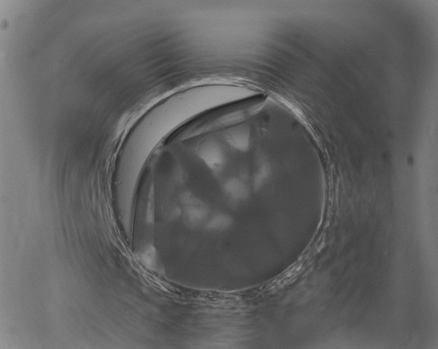 X0000061750337200512050913