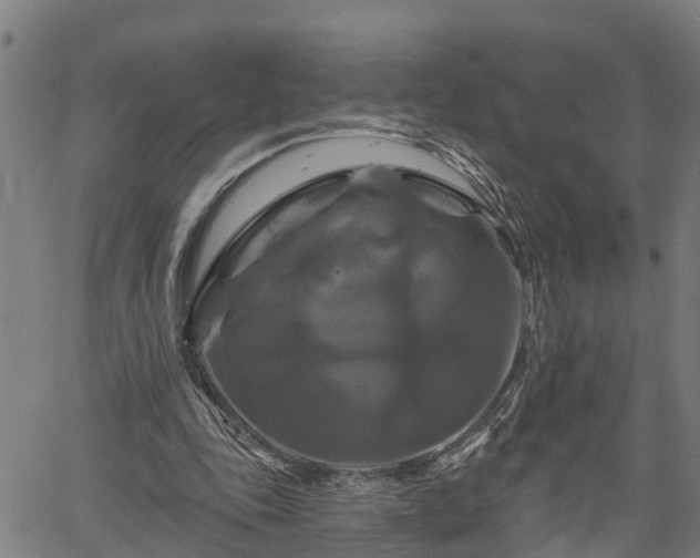 X0000061750343200512050913
