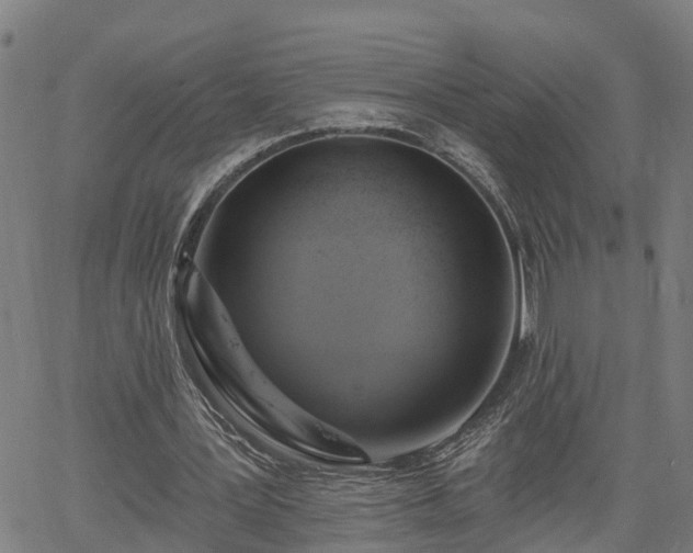 X0000061750387200512050913