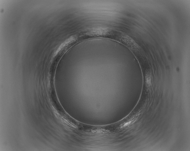 X0000061750396200512050913