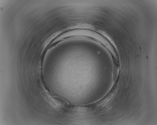 X0000061750437200512050912