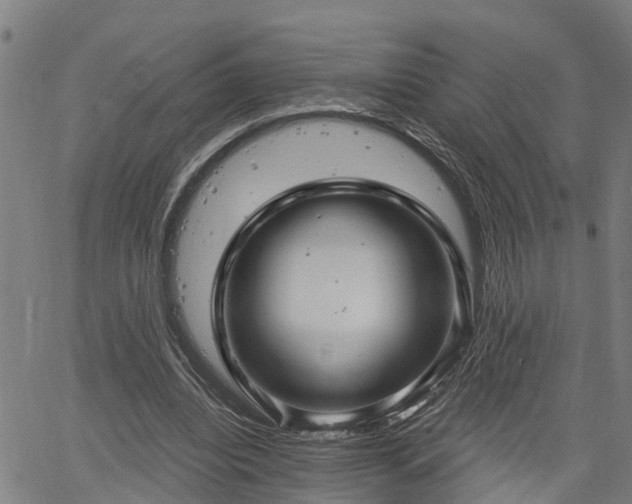 X0000061750440200512050912