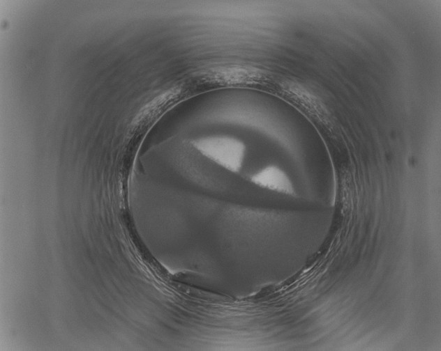X0000061750453200512050912