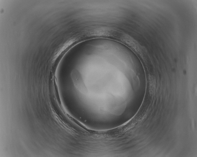 X0000061750482200512050912