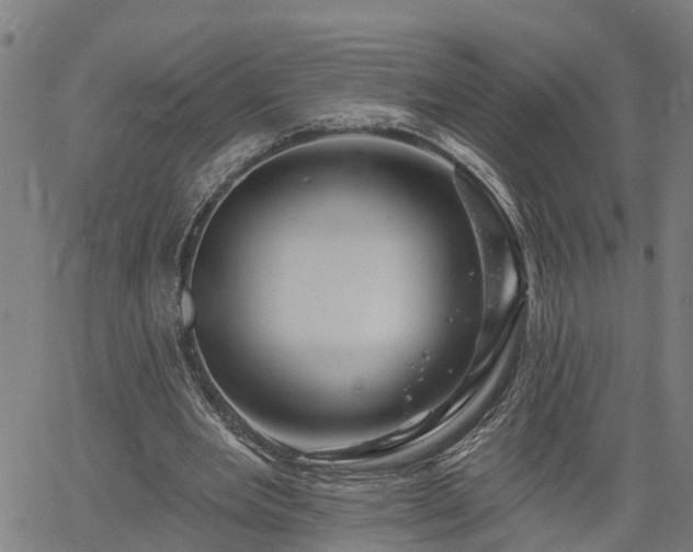 X0000061750485200512050912
