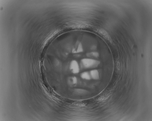 X0000061750491200512050912