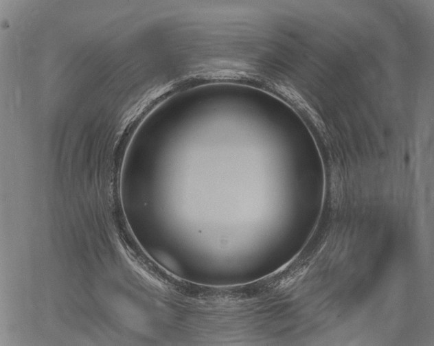 X0000061750533200512050910