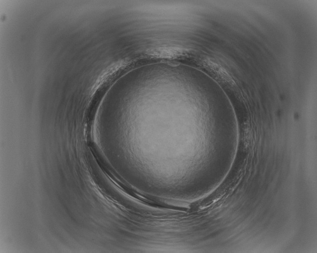 X0000061750544200512050910