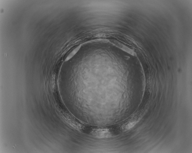 X0000061750554200512050910