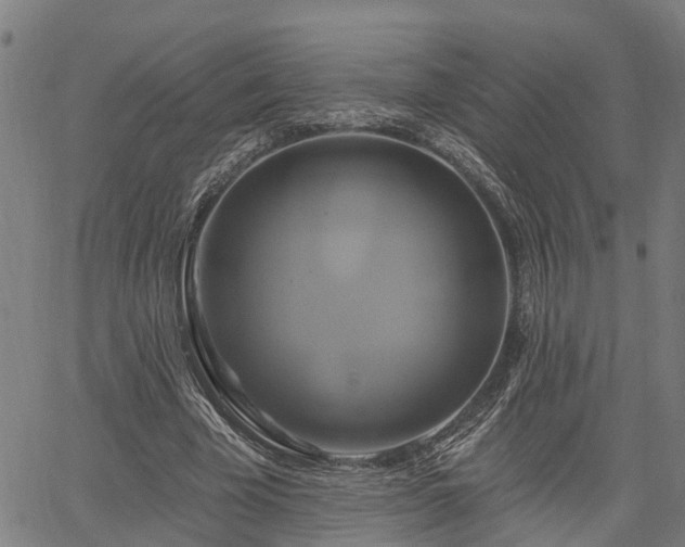 X0000061750585200512050910