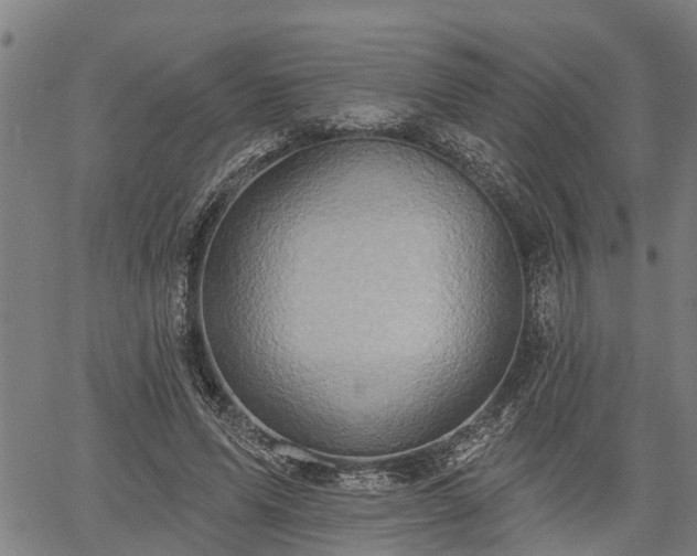 X0000061750591200512050910