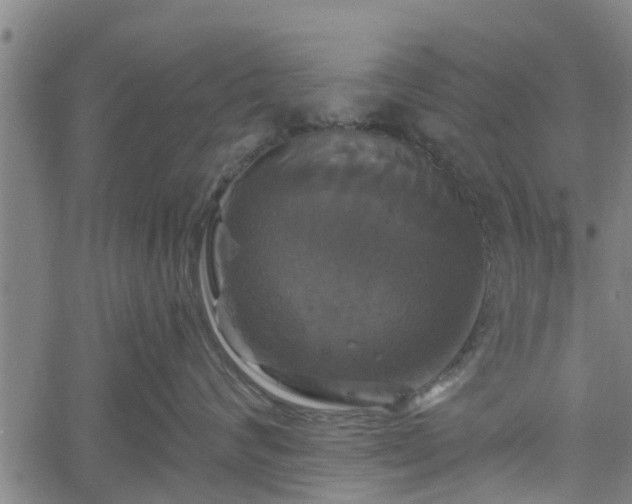 X0000061750624200512050909