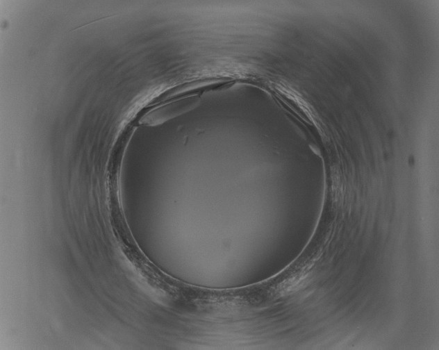 X0000061750626200512050909