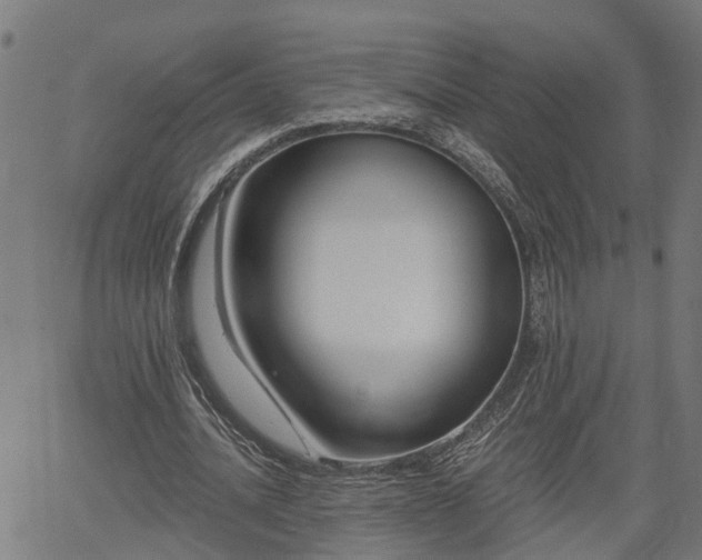 X0000061750628200512050909