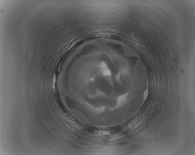 X0000061750649200512050909