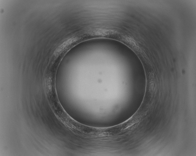 X0000061750683200512050908