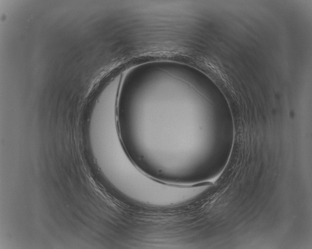 X0000061750688200512050908
