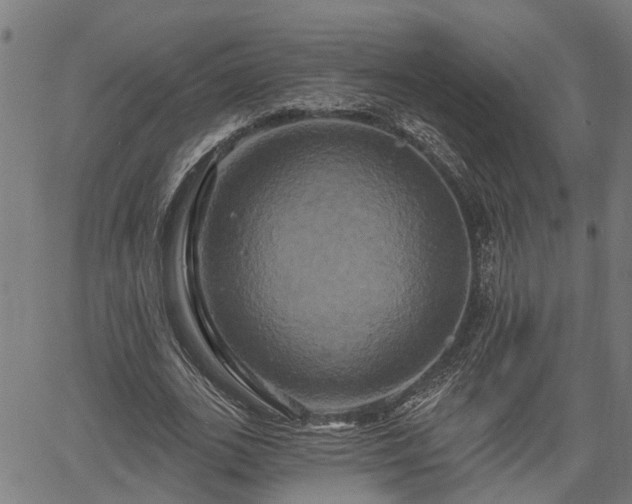 X0000061750727200512050907