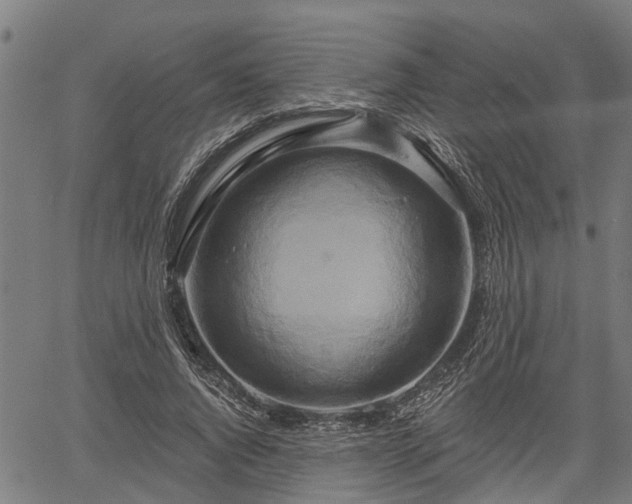 X0000061750736200512050907