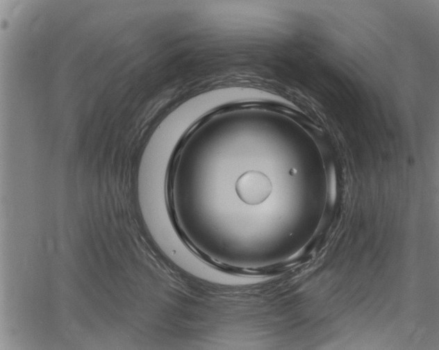 X0000061750762200512050908