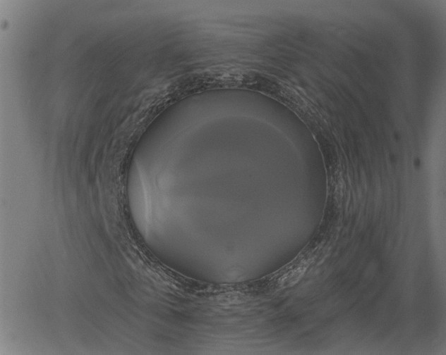 X0000061750769200512050907