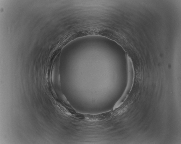 X0000061750818200512050905