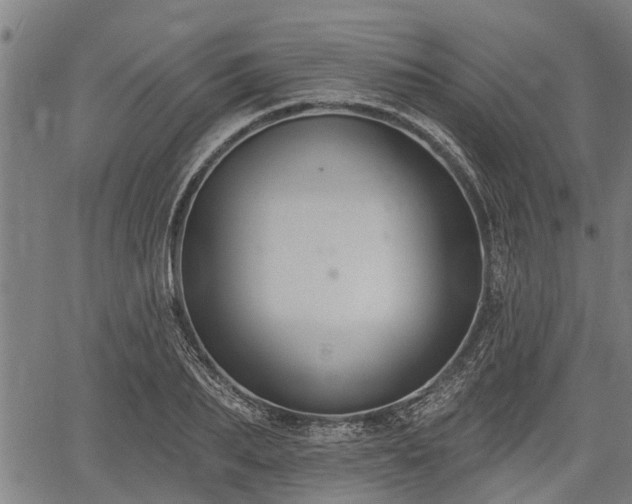 X0000061750887200512050905
