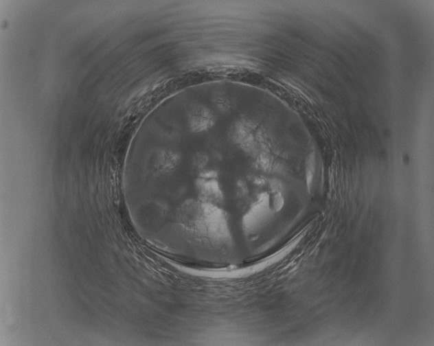 X0000061750917200512050904