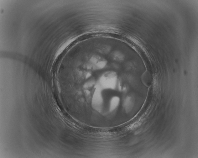 X0000061750925200512050904