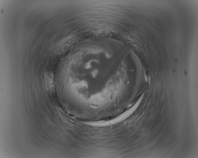X0000061750963200512050904