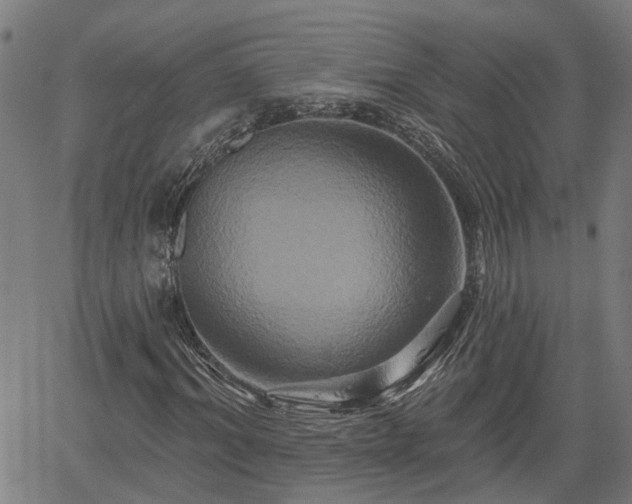 X0000061750964200512050904