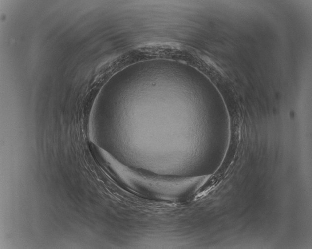 X0000061750965200512050904