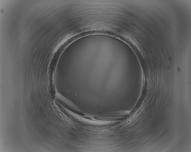 X0000061750975200512050904