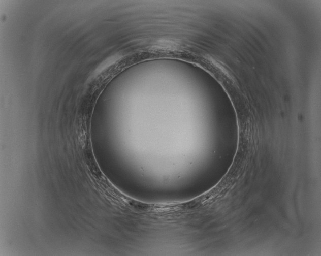X0000061751015200512050902