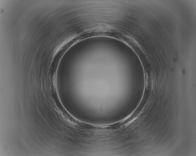 X0000061751018200512050902