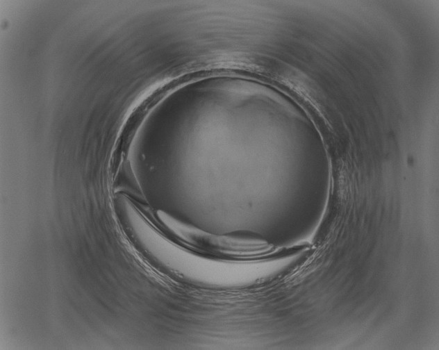 X0000061751024200512050903