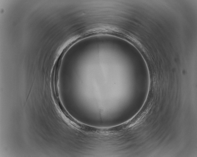 X0000061751034200512050903