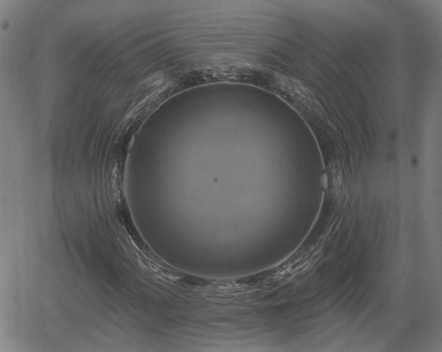 X0000061751060200512050902