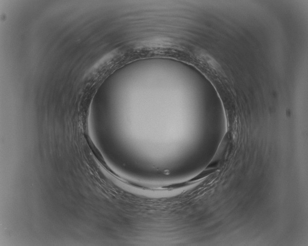 X0000061751062200512050902