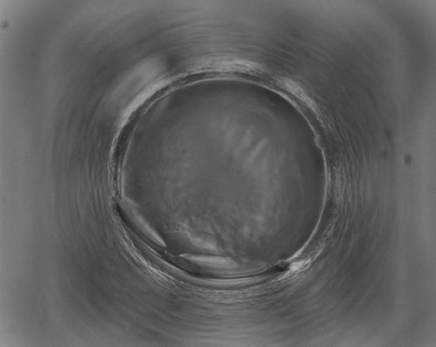 X0000061751071200512050902