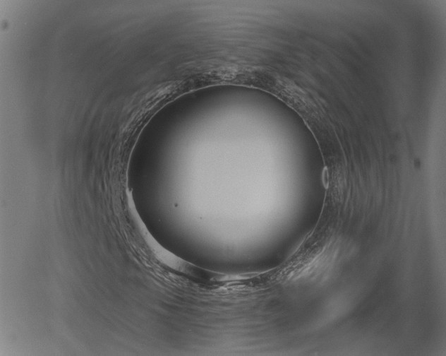X0000061751105200512050901