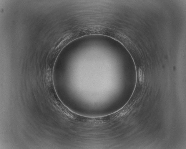 X0000061751107200512050901