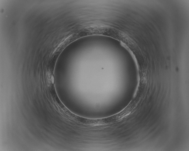X0000061751108200512050901