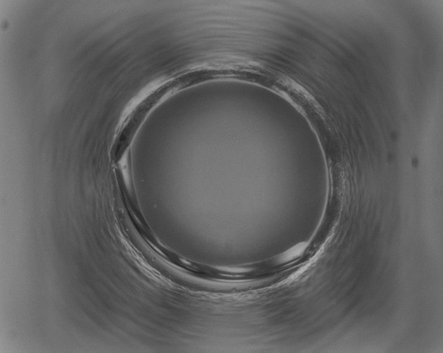 X0000061751114200512050901