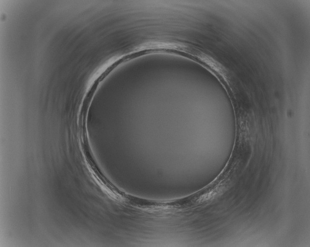 X0000061751127200512050901