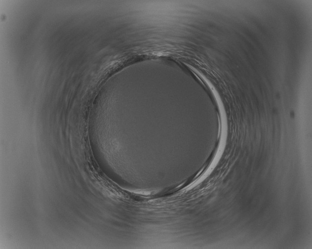X0000061751153200512050901