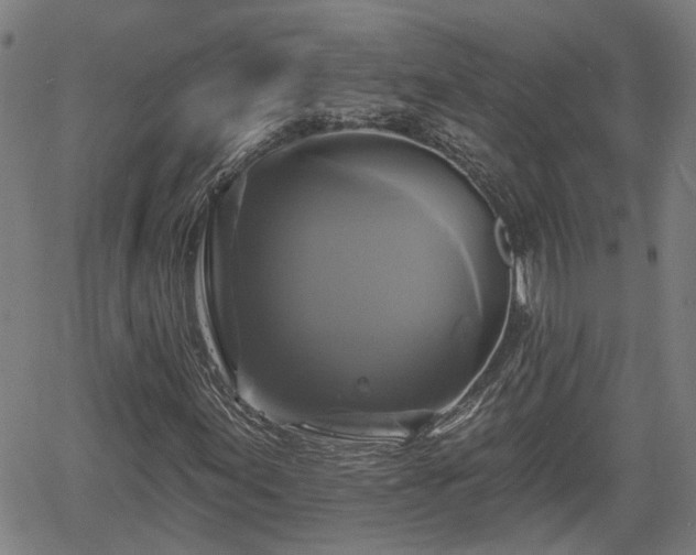 X0000061751155200512050901
