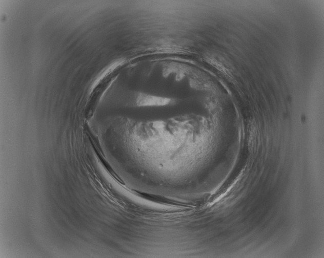 X0000061751163200512050900